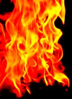 f8d9f3e6-fc6e-4878-afc5-d5d9e1d9131e