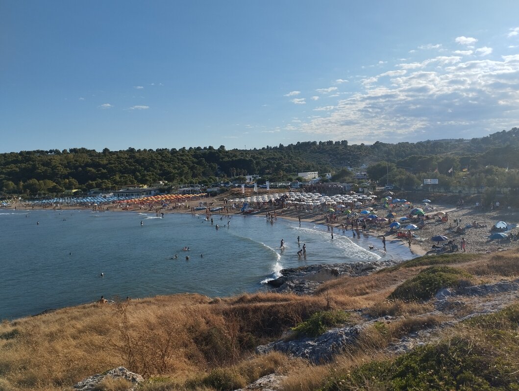 spiaggia.jpeg