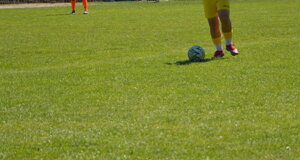 dsc_0724.jpeg