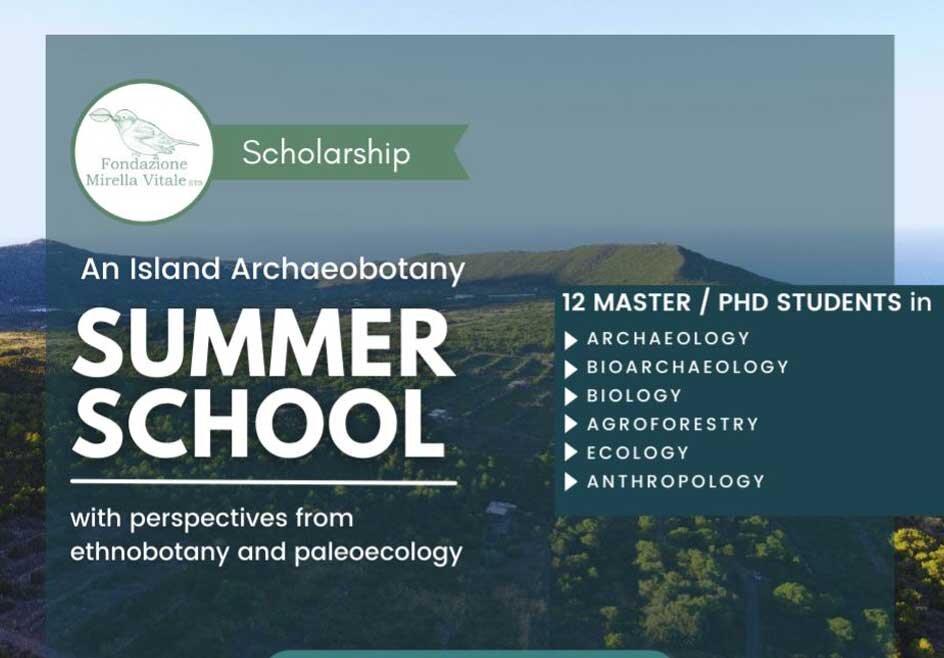 SUMMER SCHOOL