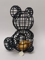 linea-segreti-orso-nero-30