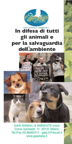 gaia depl1 copia.jpeg