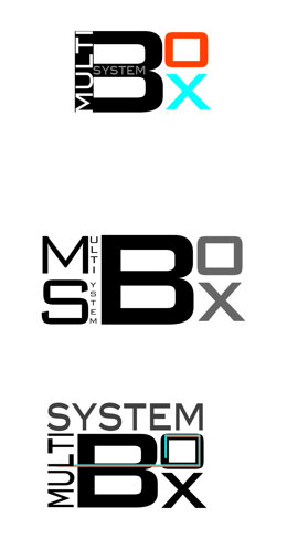 msbox-2.jpeg