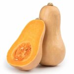 zucca-buttermut
