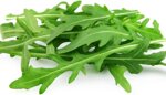 rucola