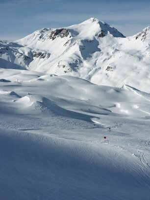 20230114_120959.jpeg 20230114_120959.jpeg