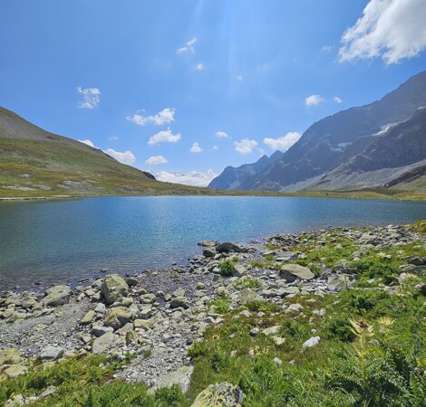 livigno-logo.jpeg livigno-logo.jpeg