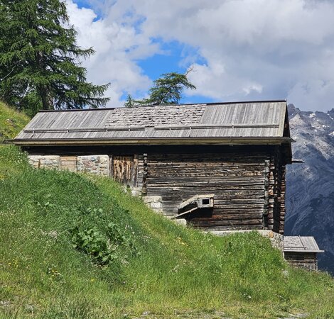 20240709_153458.jpeg 20240709_153458.jpeg