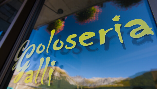 dsc_0831.jpeg dsc_0831.jpeg