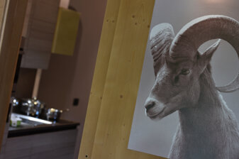 024 particolare.jpeg 024 particolare.jpeg