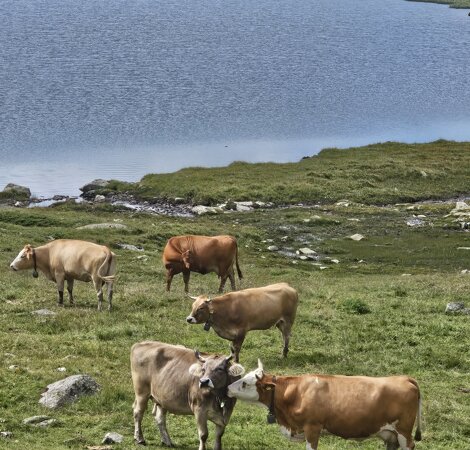 20240823_122957.jpeg 20240823_122957.jpeg