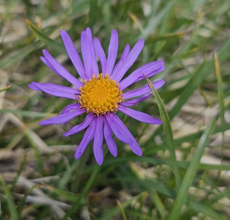 20240808_155128%20-%20copia.jpeg 20240808_155128%20-%20copia.jpeg