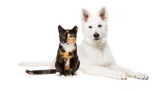 f112d787916ad8fbbb6b775389a6468cb384ff1a