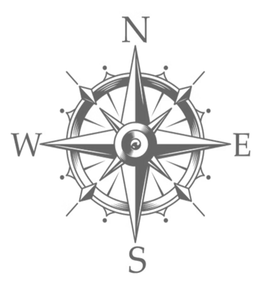 dms-logo-grigio dms-logo-grigio