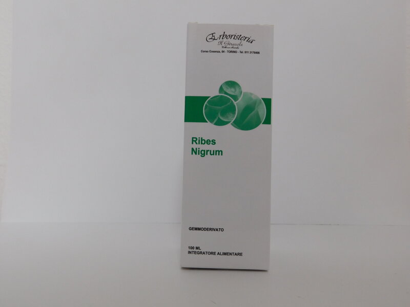 ribes-nigrum
