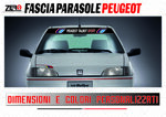 fascia-parasole-peugeot-4