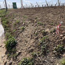 Picchettamento Attività di picchettamento cantiere