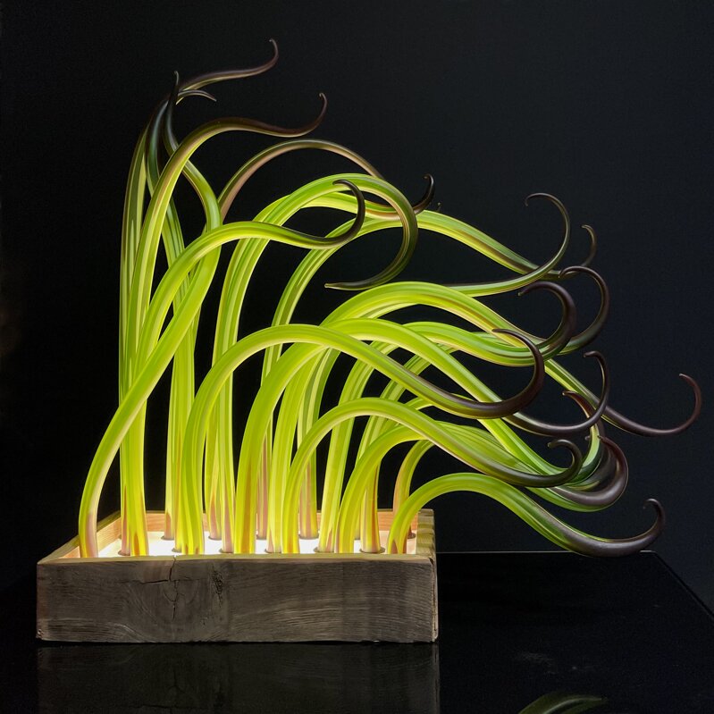 green-seaweed-lighted-base-to-order green-seaweed-lighted-base-to-order