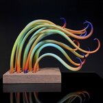 parrot-seaweed-banded