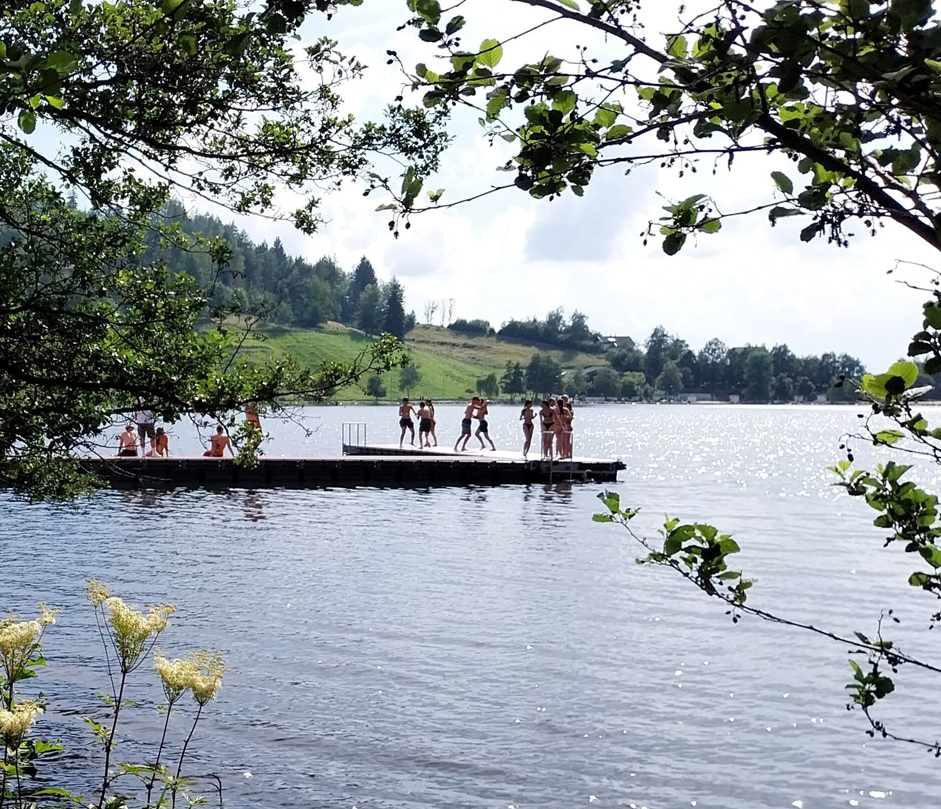 20240713_164319.jpeg 20240713_164319.jpeg