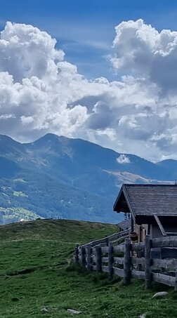 05 da malga pec.jpeg 05 da malga pec.jpeg