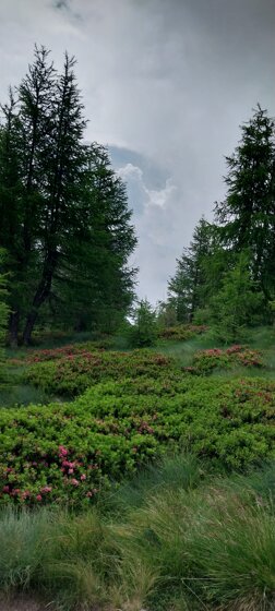 20230702_103123.jpeg 20230702_103123.jpeg