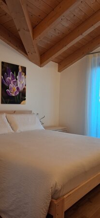 camera croco.jpeg camera croco.jpeg