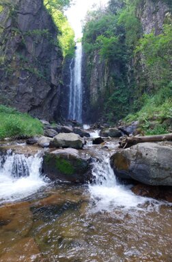 20240711_153306.jpeg 20240711_153306.jpeg