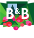 logo bb qualità bianco