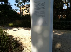 img_1129.jpeg