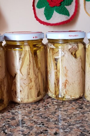 Tonno alalunga sottolio, confeziona da Ittica f.lli Maiorana