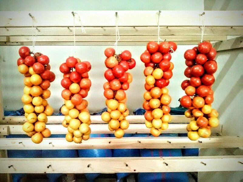 pomodoro-di-aradeo