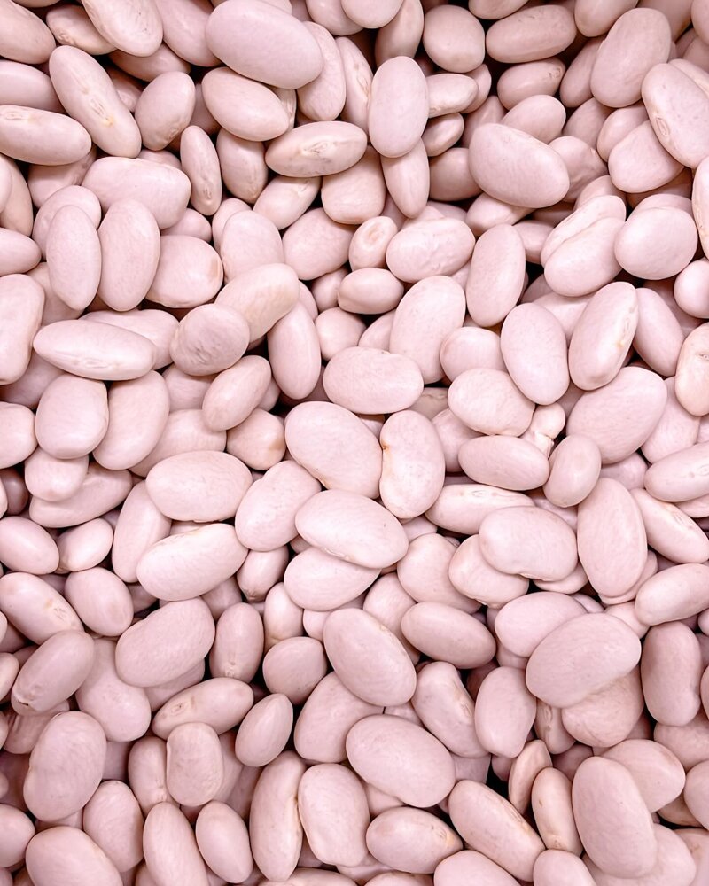 fagioli-piattello