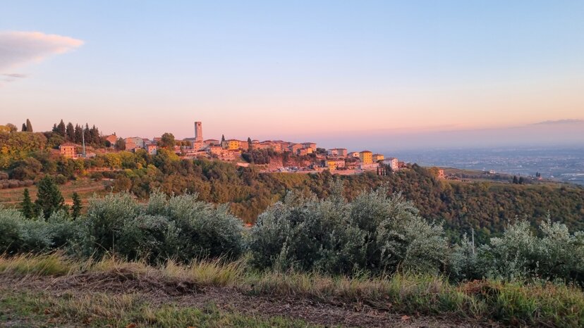 78449b20ccff3468b09984d65192bd8c11c4458a