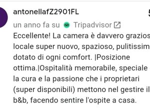 eb6522ea-1683-49db-951e-a1c15cc777ed.jpeg eb6522ea-1683-49db-951e-a1c15cc777ed.jpeg