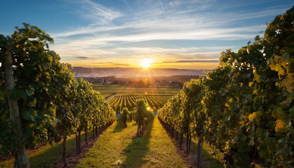 2032bad764fa0a56a9e5892c35285de0eeef1b4a 2032bad764fa0a56a9e5892c35285de0eeef1b4a