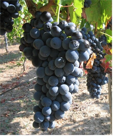 8f3432b31f70877799ecf6e7014813a48273f2ad