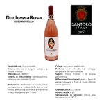 duchessarosa-susumaniello