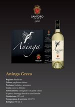 aninga-greco-basilicata-igt