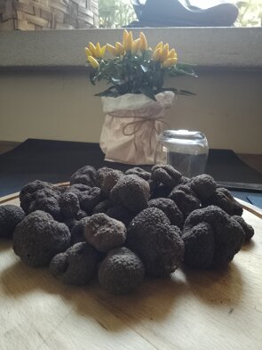 Tartufi sempre disponibili