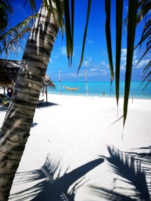 d54d4e4113d058c5820f467937fc8cde5beeb128.jpeg d54d4e4113d058c5820f467937fc8cde5beeb128.jpeg