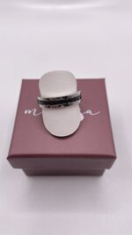 anello-uomo-in-acciaio-bicolore