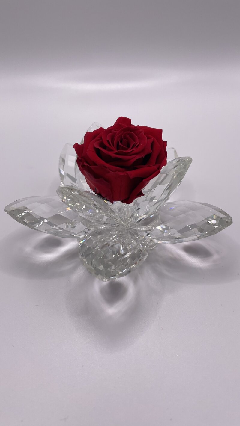 rosa-in-cristallo-e-rosa-stabilizzata-rossa-debora-carlucci