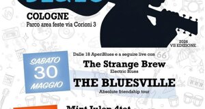 bluesville_20.jpeg bluesville_20.jpeg