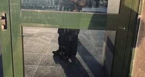 mf_333b.jpeg