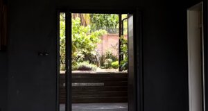 img_e2006(1).jpeg