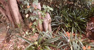 mf_338.jpeg