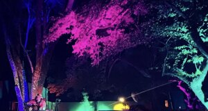 mf_210.jpeg mf_210.jpeg