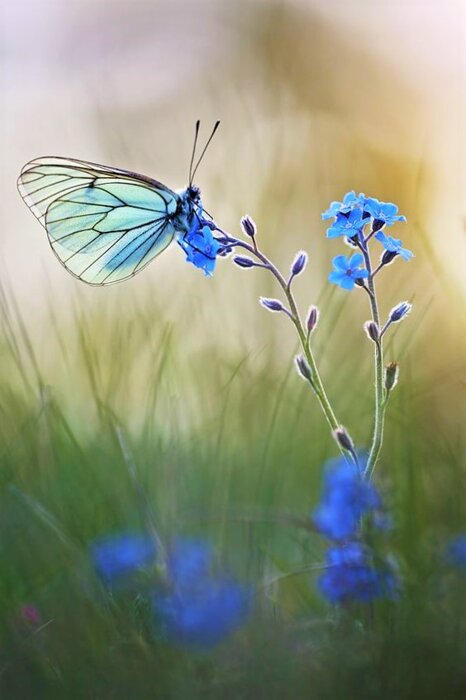 dad9228d3ed9fc497b40863c5c91e24f2772abdf dad9228d3ed9fc497b40863c5c91e24f2772abdf