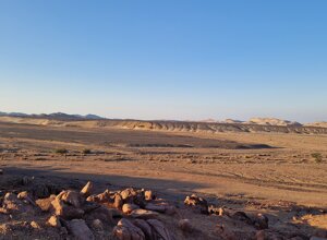 20231119_160811.jpeg 20231119_160811.jpeg